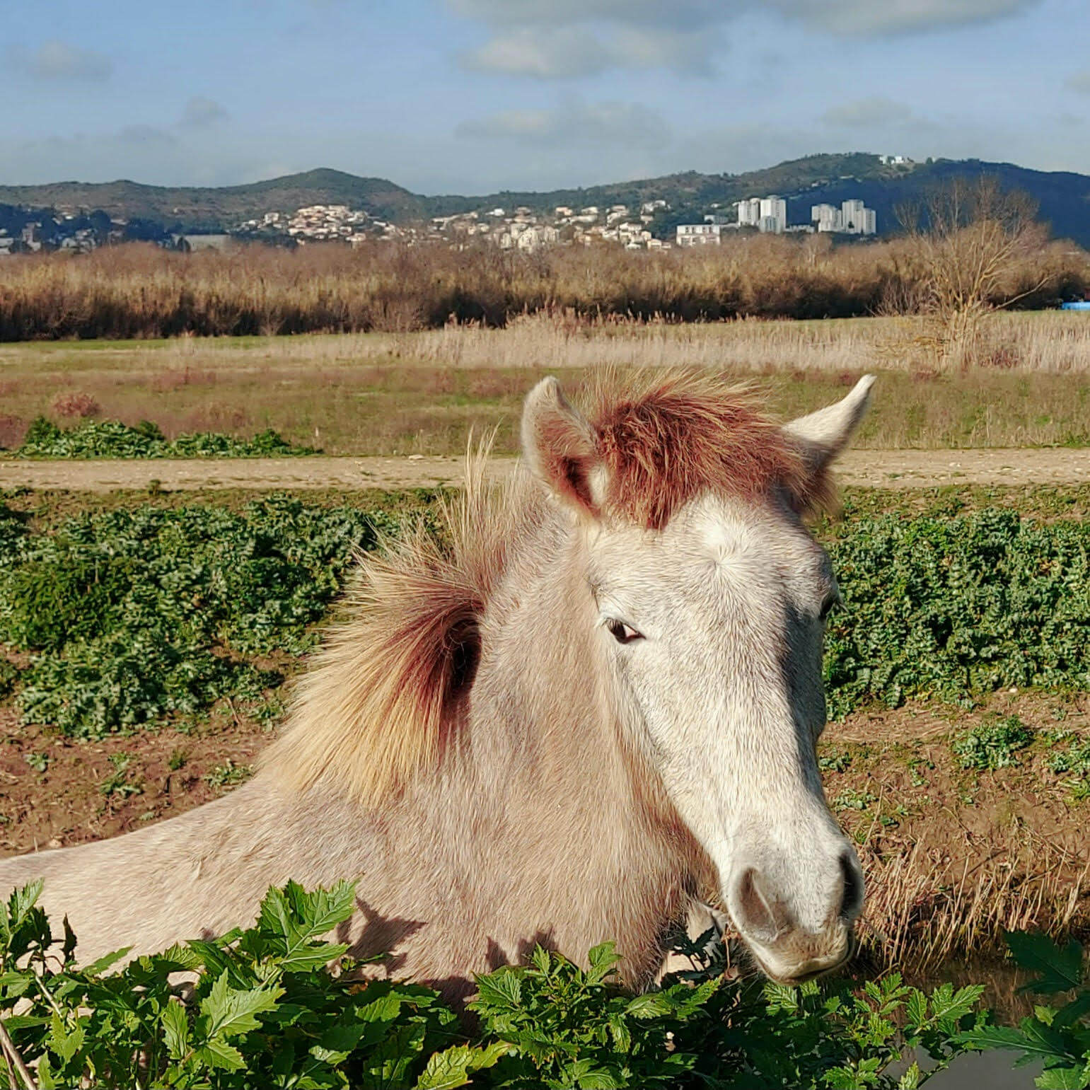 Vue du Chemin de la levée