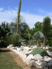 Le Jardin du propriétaire